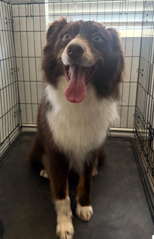 Reddington, STAR #2063