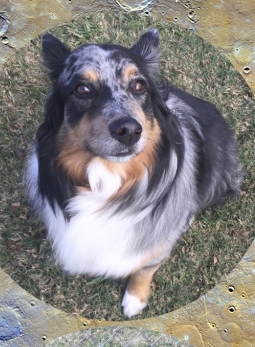 Remington, STAR #2078