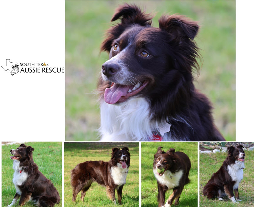 Reddington, STAR #2063