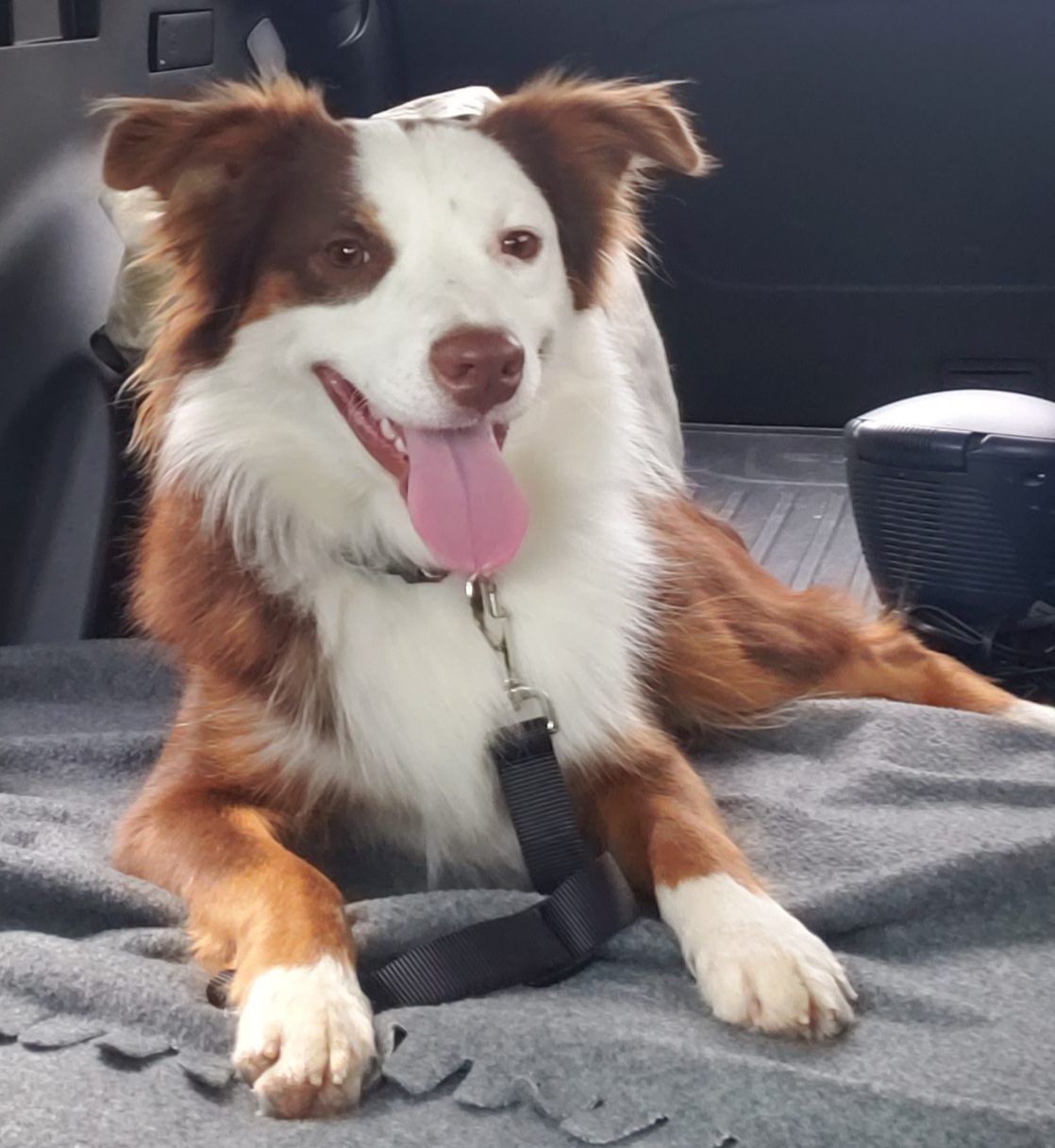 Fletcher, STAR #2093