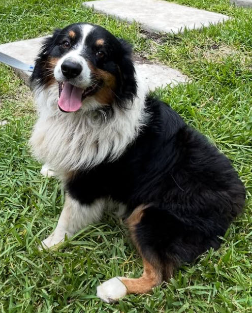 Tucker, STAR #2116