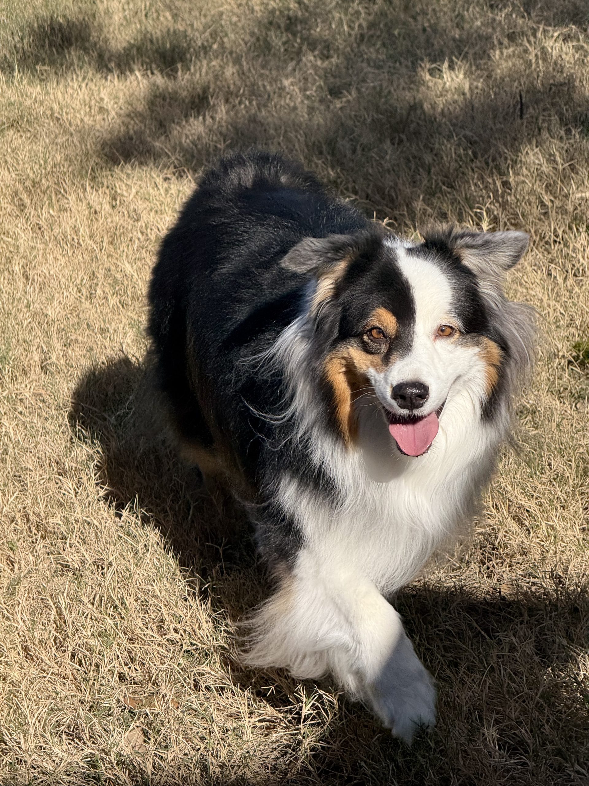 Maggie, STAR #2114
