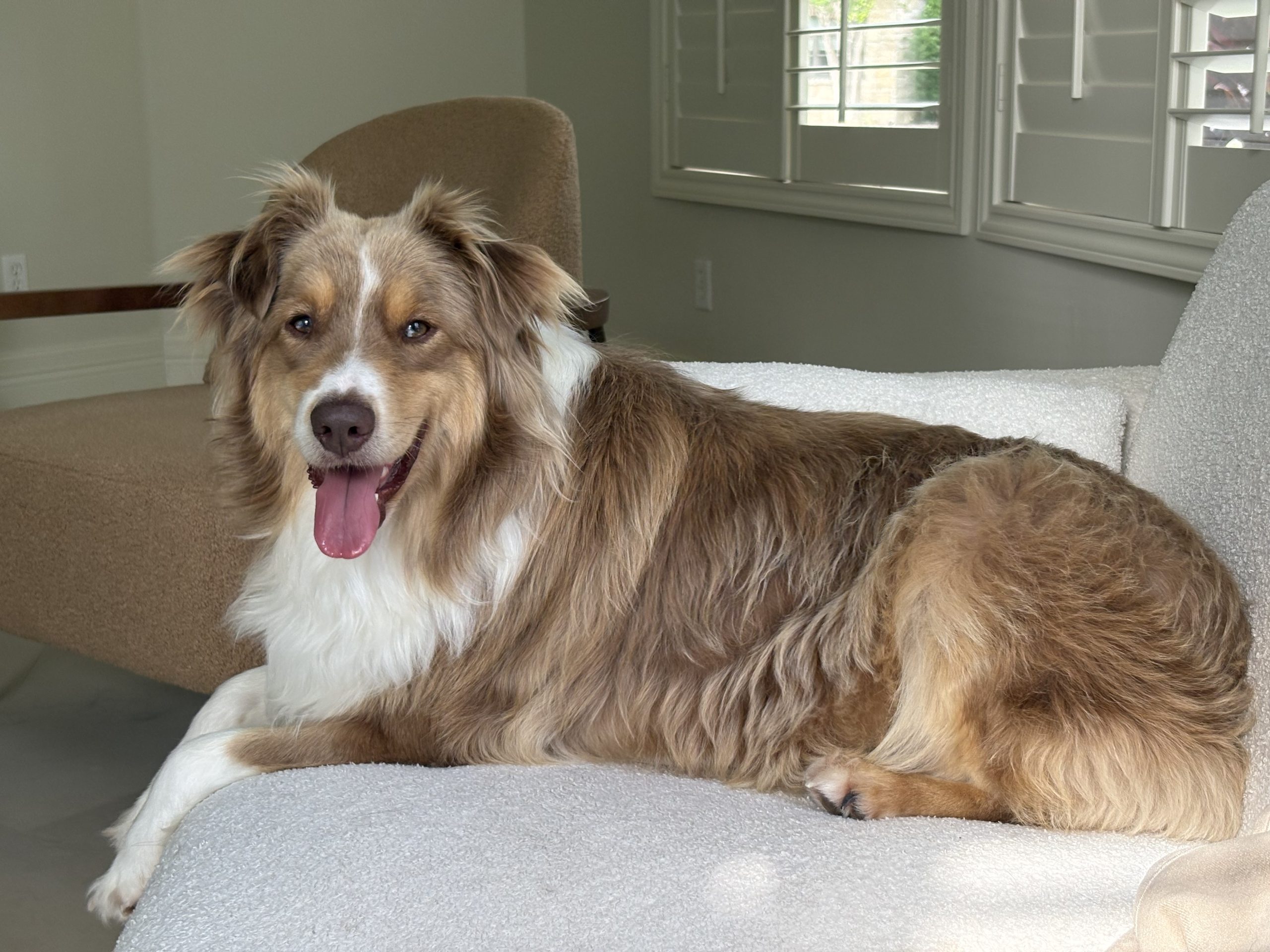 Griffin, STAR #2124