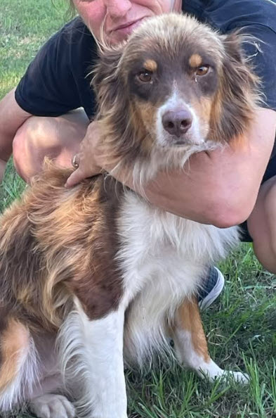 Gus, STAR #2158