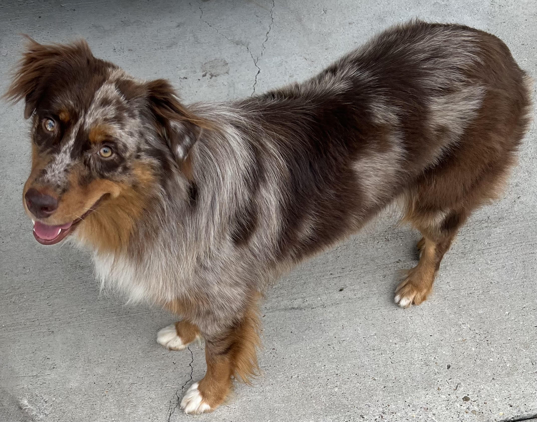 Charlie, STAR #2141