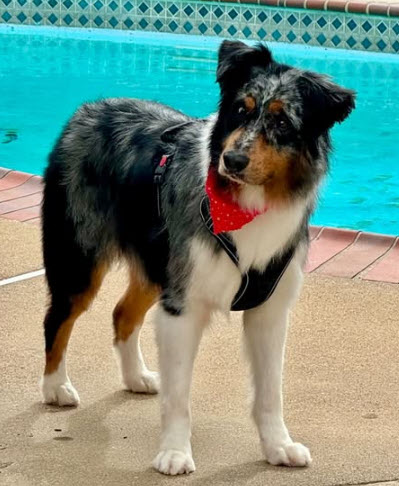Oakley, STAR #2169
