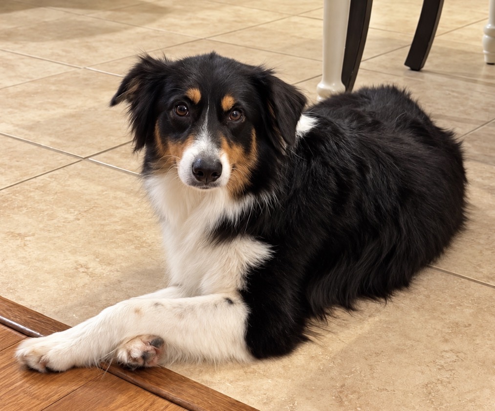 Mavis, STAR #2171