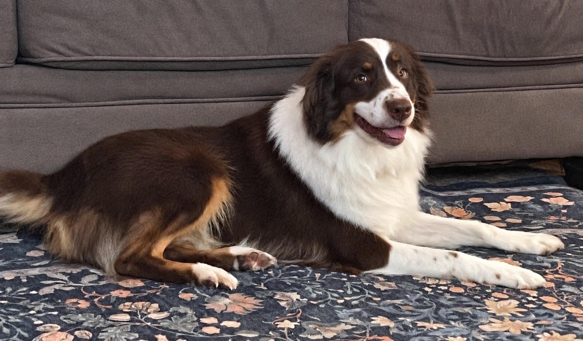 Riley Red, STAR #2166