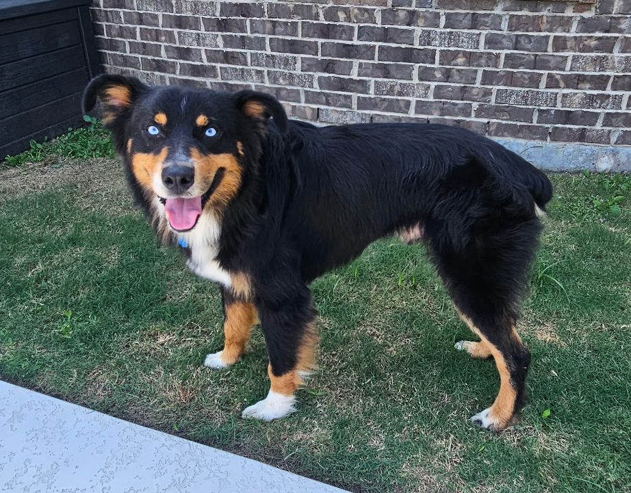 Colby, STAR #2176