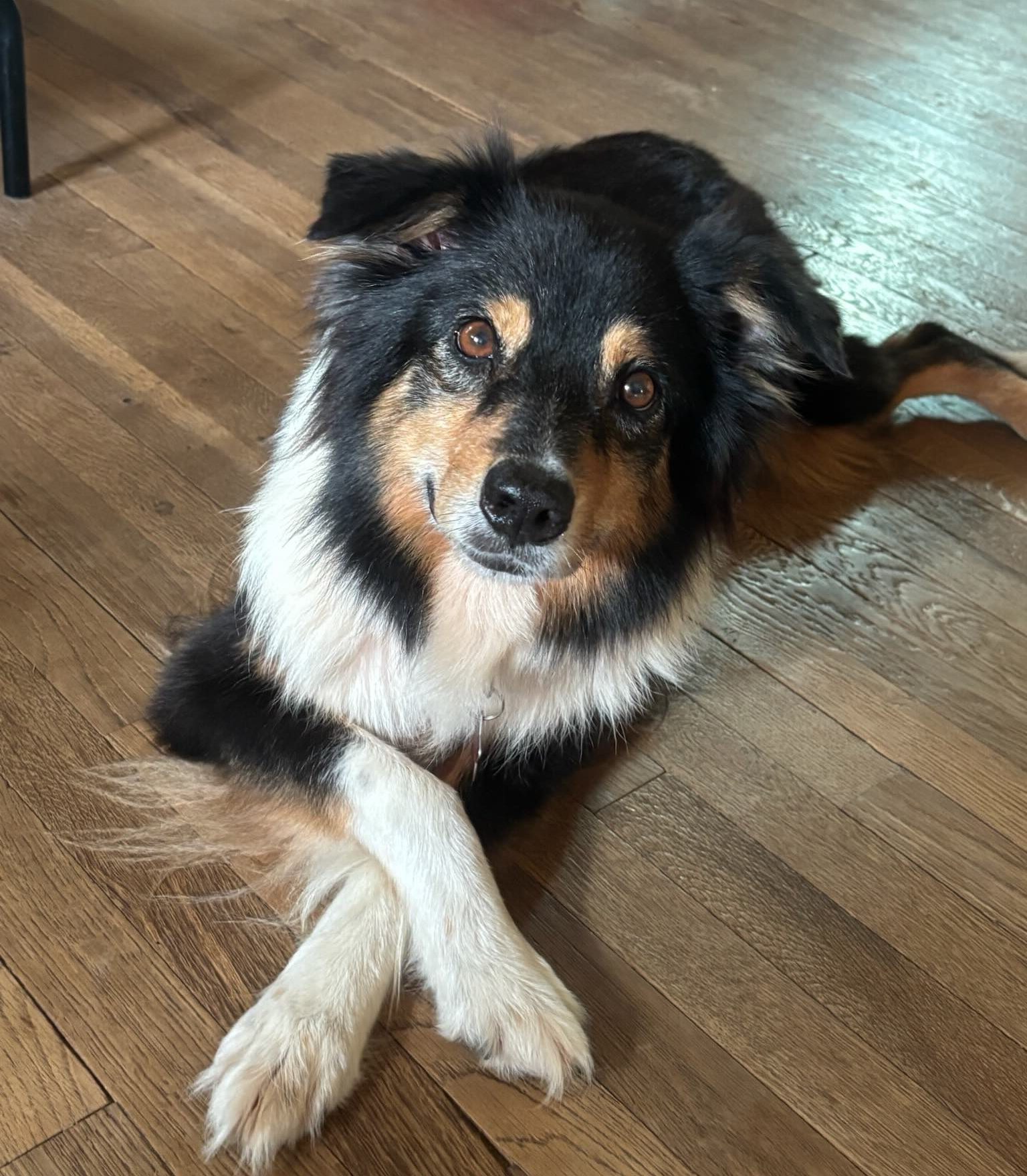 Aggie, STAR #2182